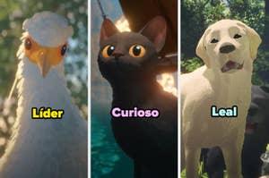 Tres personajes de película animada: un ave con el texto "Líder", un gato con "Curioso" y un perro con "Leal"